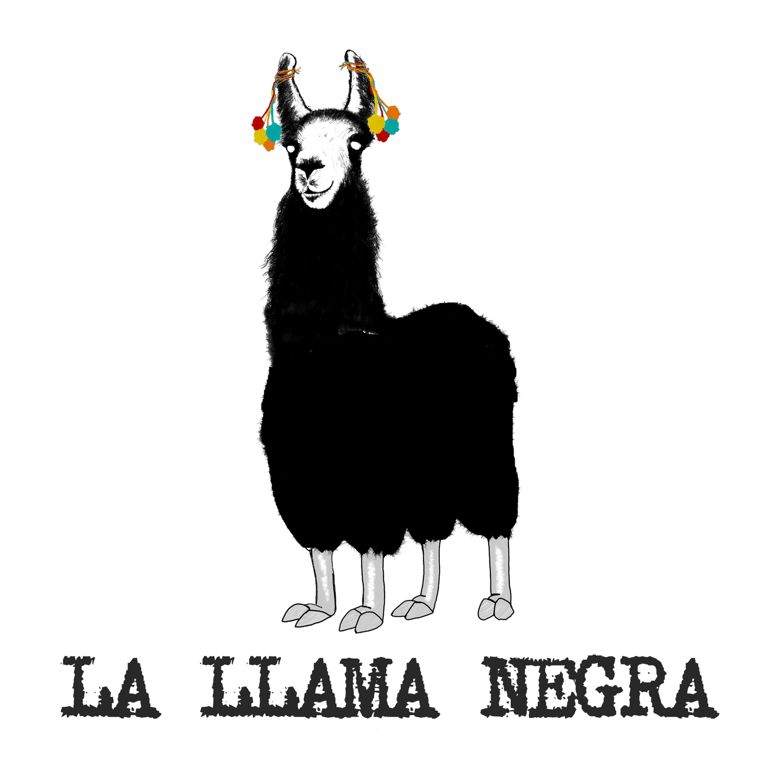 Llama Negra